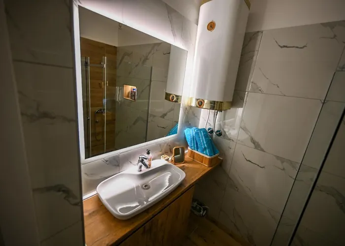 Stan Na Dan Mitic Free Parking * Vranje